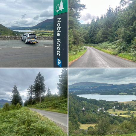 Road through Whinlatter Forest Park, Cumbria.