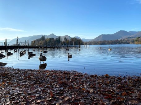 autumn lake view