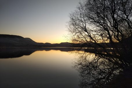 still and peaceful lake view at dusk, tree and mountain view