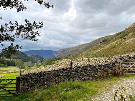 farming cumbria scene