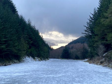 dodd wood keswick with snow on ground winter time