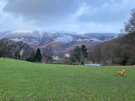 winter view of mountains with ice tops