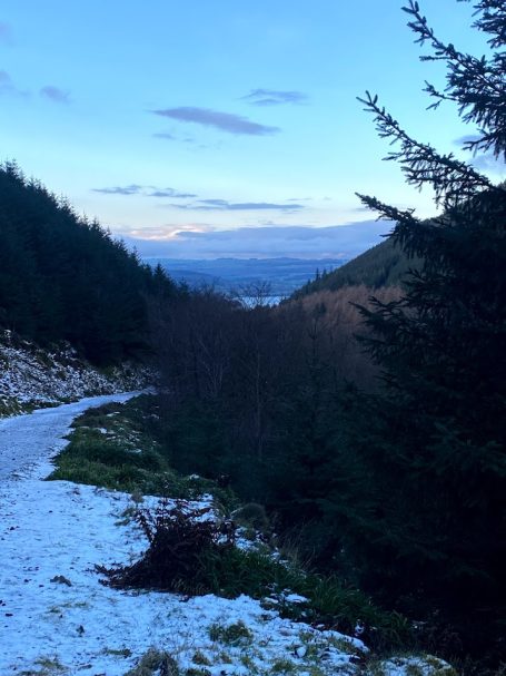 dodd wood keswick at winter